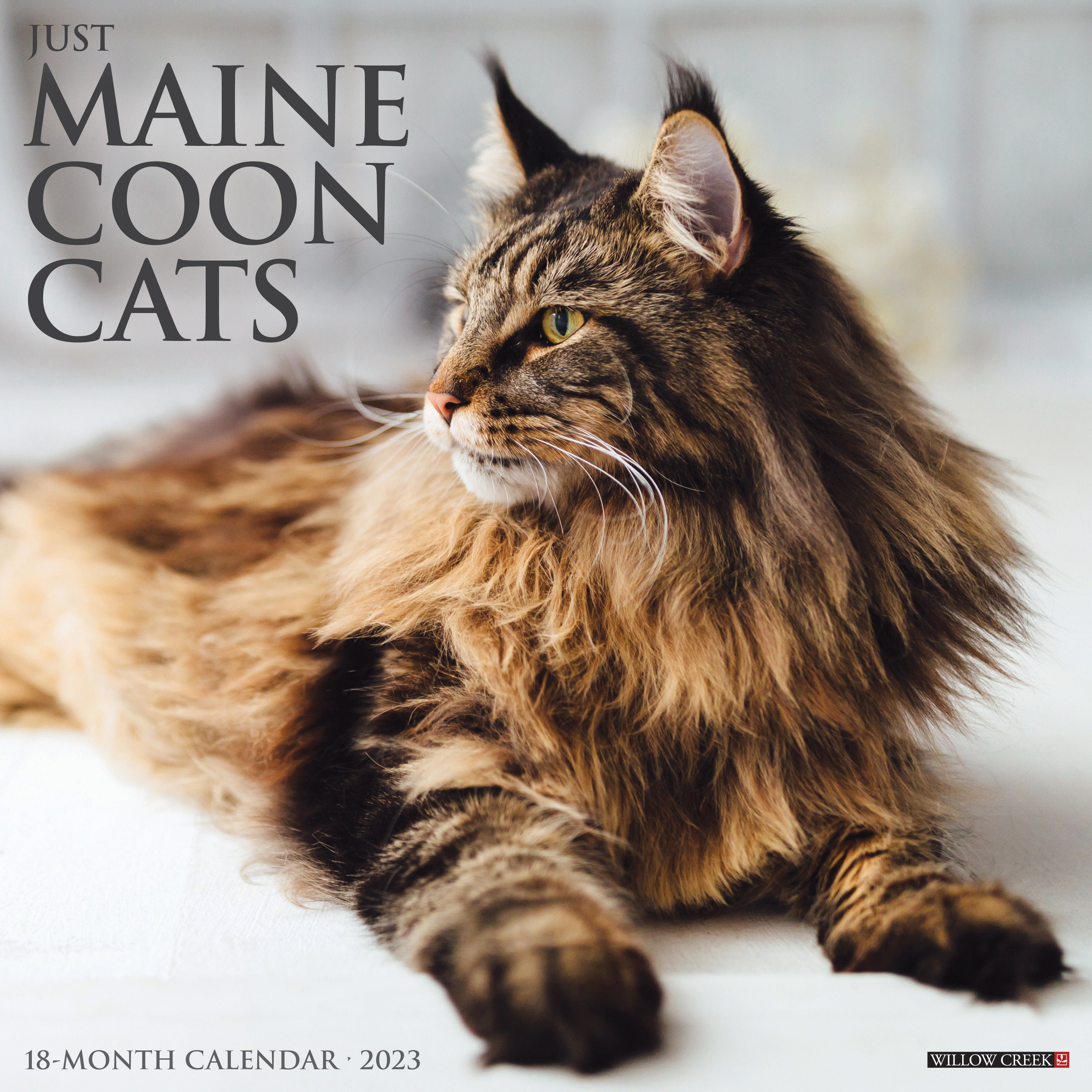 just-maine-coon-cats-2023-wall-calendar-walmart