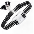 thumbnail image 1 of Collar Antiladridos de Citronela Recargable Bubbacare para Perros, 1 of 8
