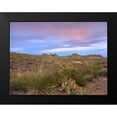 thumbnail image 2 of Fitzharris, Tim 24x19 Black Modern Framed Museum Art Print Titled - Mule Ears Peaks-Big Bend National Park-Texas, 2 of 5