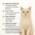thumbnail image 2 of FURACÃOPET Cat Toy with Scratcher Pad and Rolling Ball – Oval Track for Independent Play and Instinct Stimulation (Gray), 2 of 5