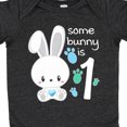 thumbnail image 4 of Inktastic Somebunny is One First Birthday Bunny Boys or Girls Baby Bodysuit, 4 of 5