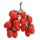 thumbnail image 1 of Tomates cherry artificiales, ideales para decoración de fiestas en casa o como accesorio para fotografía., 1 of 7