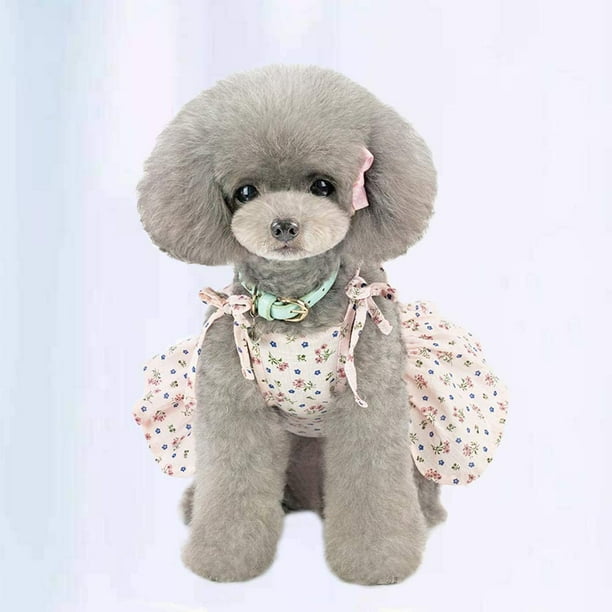 Poodle clothing cheap