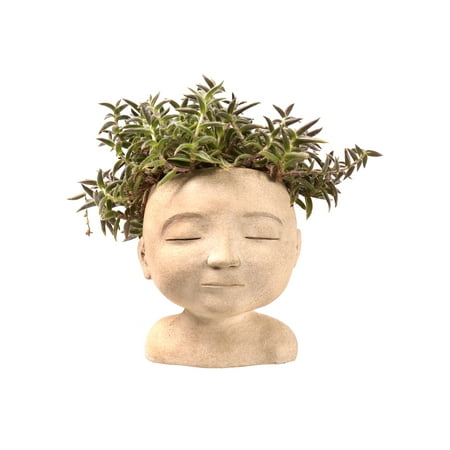 Art & Artifact Head of a Man Indoor/Outdoor Planter - Handpainted Zen Buddha Face of Resin - Plants Look Like Hair, 9