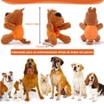 thumbnail image 4 of Juguete para Perro Match & Enjoy Juguete para Premios diseño Perro, 4 of 5