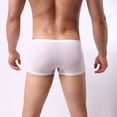 thumbnail image 5 of khonts,Men's Sexy Boxer Briefs See Through Underwear Sheer Mesh Low Rise Underpants White XL, 5 of 7