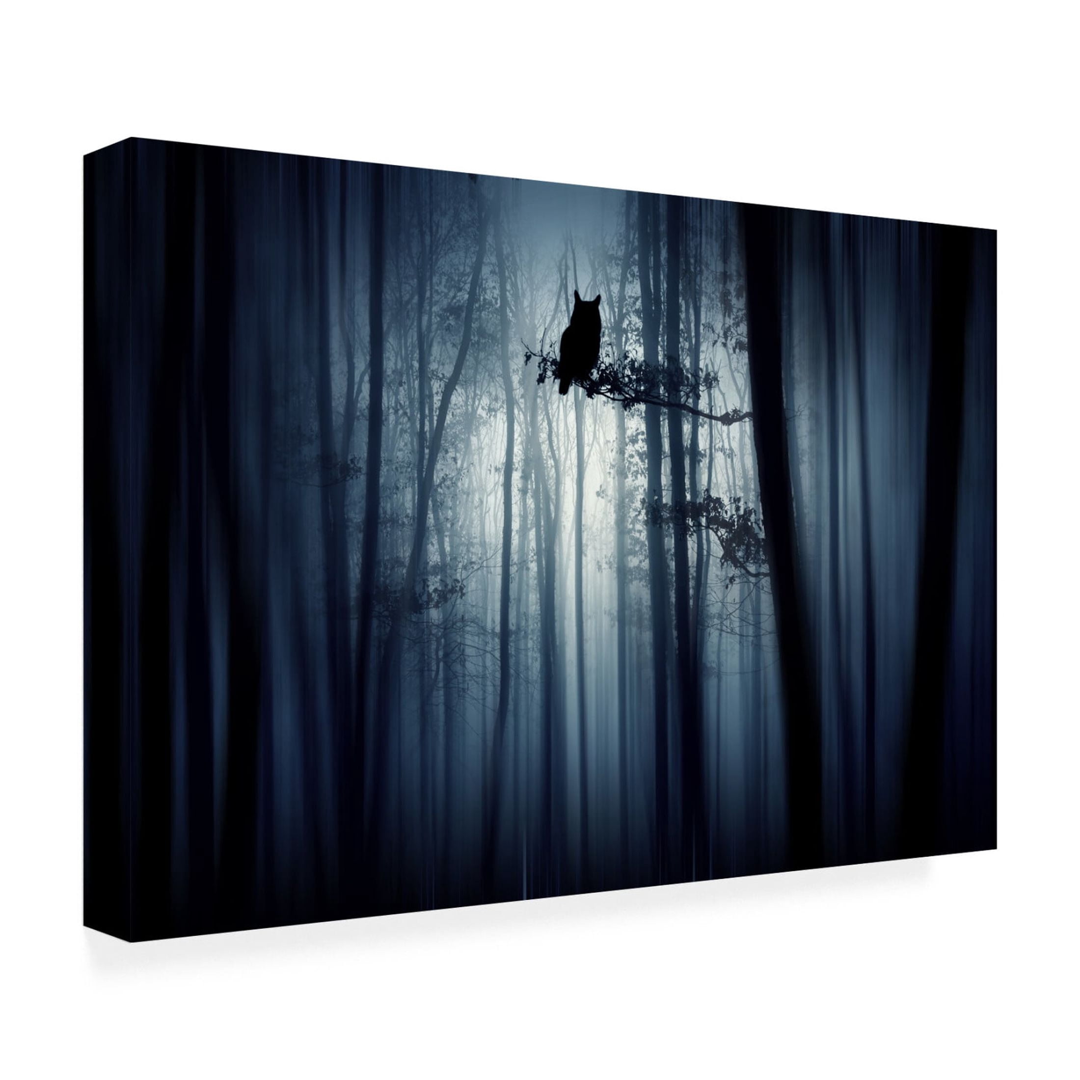 Canvas Wall Art - Eros Erika 'In The Forest' Wall Art for Living Room, Bedroom, or Office Décor by Trademark Fine Art - 47 x 30 Inches