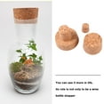 thumbnail image 2 of 2 Pieces Cork Board Wine Stopper Bottle Corks Balls Mini Plug Sealing Cover Accessory Bottles, 2 of 6