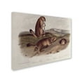 thumbnail image 3 of Trademark Fine Art "Prairie Dog" Canvas Art by John James Audubon, 3 of 4