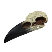 Komodo Raven Skull, Bone and Black Resin, Aquarium Decor