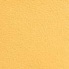 Orange Sorbet