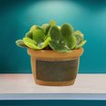 thumbnail image 3 of Casa de muñecas Sunnimix Resina Mini Bonsai Suministros de Paisaje Estilo D, 3 of 7