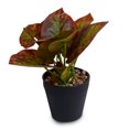 thumbnail image 1 of Maceta con planta artificial para decoración del hogar, oficina Storyland Storyland  7673, 1 of 3