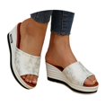 thumbnail image 1 of Dakaela Women's Platform Wedge Sandals Open Toe Slip on Slides Comfortable Summer Walking Shoes, 1 of 8