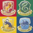 thumbnail image 2 of Harry Potter Party Decorations | 16 Guests | Harry Potter Plates, Napkins, Sticker, 2 of 3
