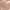 Pink, variant on BLVB Women's High Waisted Underwear Stretch Panties Full Coverage Breathable No Show Lace Briefs