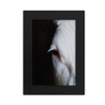 thumbnail image 1 of m Animal Photography Desktop Photo Frame Picture Display Art Painting Exhibit, 1 of 3
