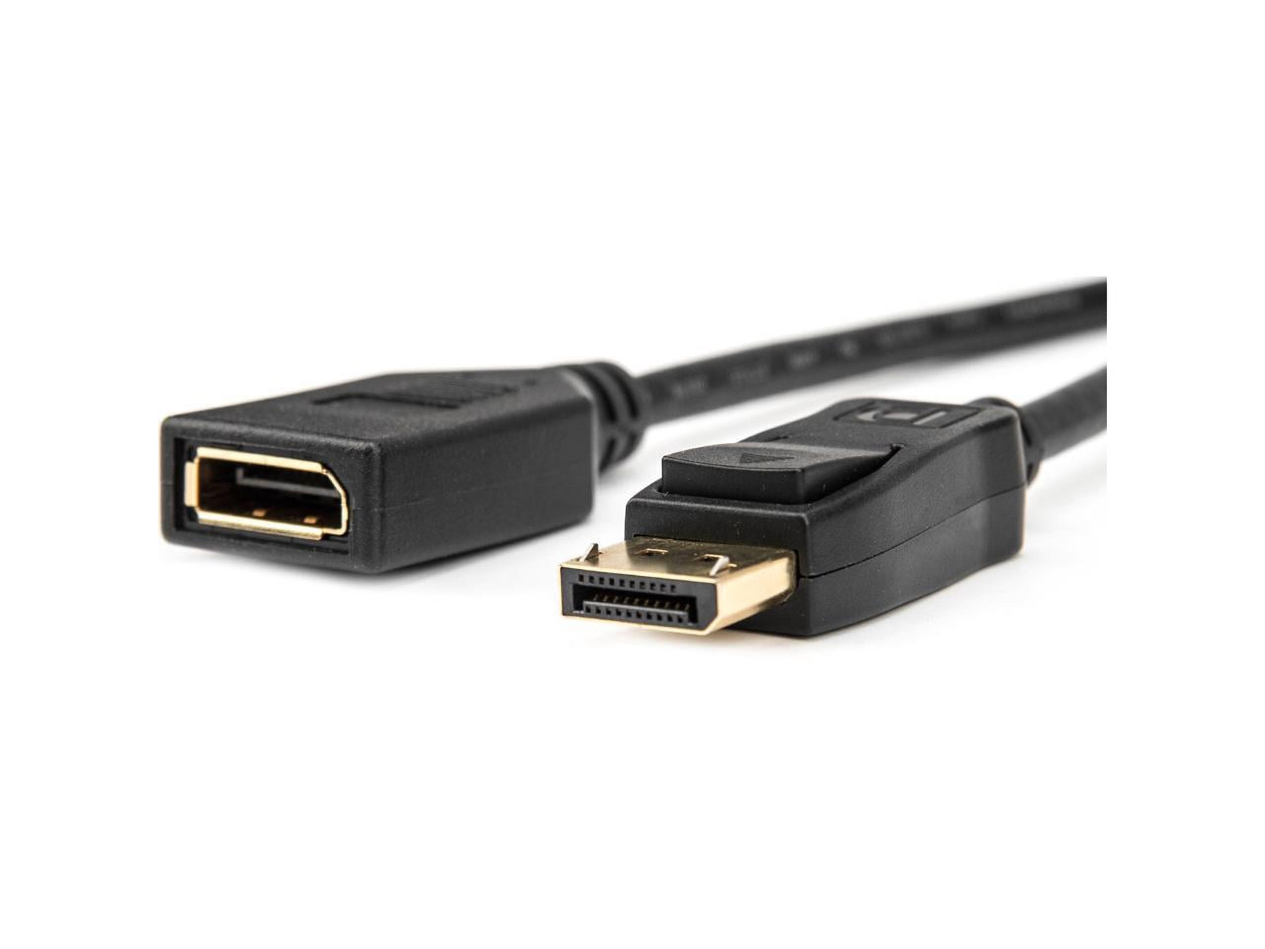 Rocstor 6ft DisplayPort Video Extension Cable