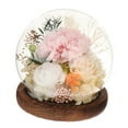thumbnail image 4 of Regalo para el Día de la Madre, Regalo de Flores Preservadas, Regalo de Clavel para Mujeres, Regalo de Clavel champán, 4 of 9
