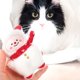 thumbnail image 3 of GOOHOCHY 3 Juguetes Mordedores para Gatos con Adorables Elementos Navideños. Juguetes para Gatos. Juguetes Portátiles para Gatitos., 3 of 8