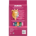 thumbnail image 4 of Iams Proactive Health Urinary Tract Health Chicken Dry Cat Food, 3.5 Lb Bag, 4 of 12
