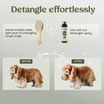 thumbnail image 3 of Pet Brush Pawfume 2 en 1 para perros y gatos, 3 of 6