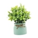 thumbnail image 3 of Pequeñas plantas falsas, plantas artificiales en macetas, mesa decorativa, centro de mesa, adorno de escritorio, plantas de imitación para alféizares Verde, 3 of 10