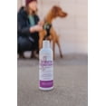 thumbnail image 6 of Breedwise Pet Provisions Sweet Pea Vanilla Pet Conditioner, 12 oz – For Dogs and Cats, 6 of 7