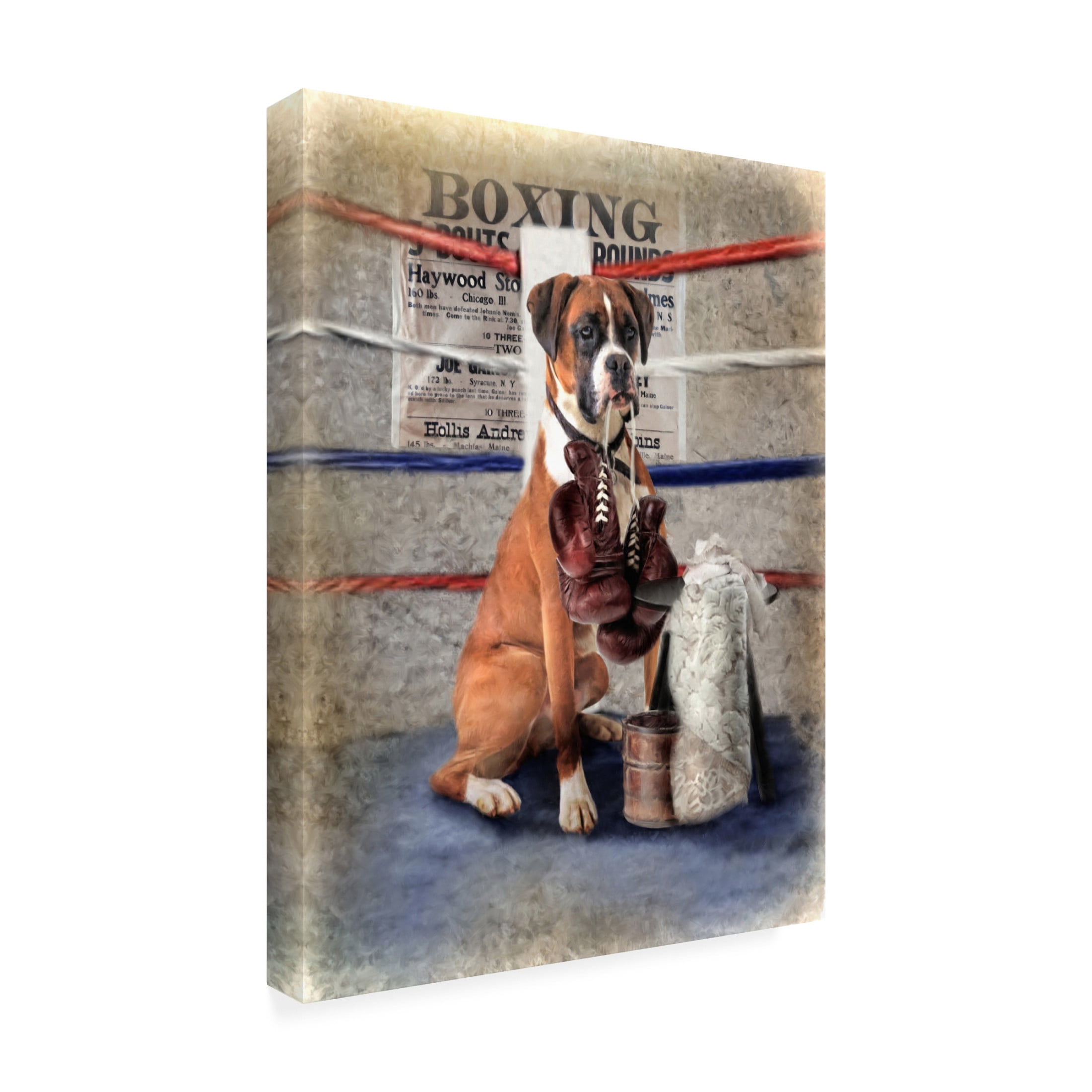 Canvas Wall Art - Trudi Simmonds 'The Boxer' Wall Art for Living Room, Bedroom, or Office Décor by Trademark Fine Art - 24 x 32 Inches