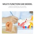 thumbnail image 3 of 1 Juego de pendientes decorativos multifuncionales de escritorio con forma de oreja postiza., 3 of 8