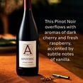 thumbnail image 3 of Apothic Pinot Noir Red Wine, 750ml Bottle, 3 of 6