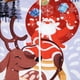 thumbnail image 3 of Calcetines tobilleros de Navidad Jinwen Lovely Deer Santa Calcetines de dibujos animados para mujer, 3 of 3