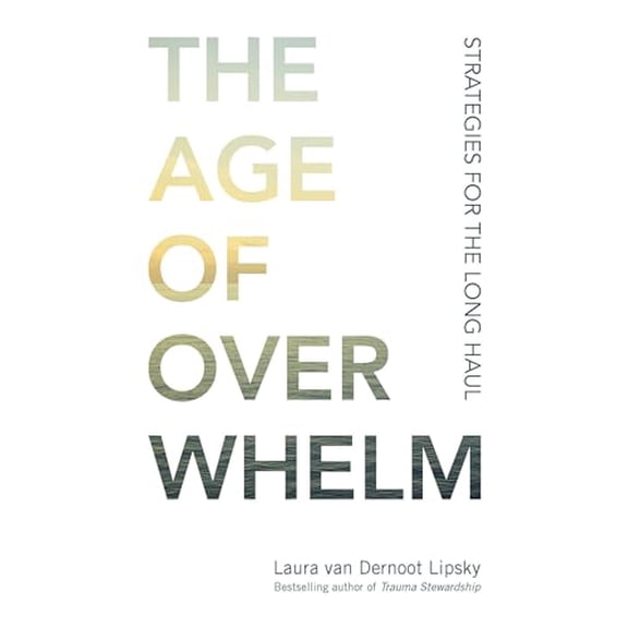 Pre-Owned The Age of Overwhelm: Strategies for the Long Haul (Paperback) 1523094737 9781523094738