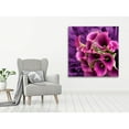 thumbnail image 3 of Purple Rush Photography Canvas Art 24 x 24, 3 of 5