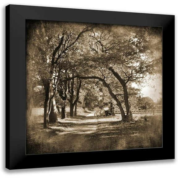Foschino, Suzanne 12x12 Black Modern Framed Museum Art Print Titled - Dirt Road