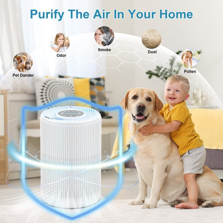 AIRFIRE AP201 HEPA Air Purifier for Large Rooms, 1300 Sq Ft photo 6
