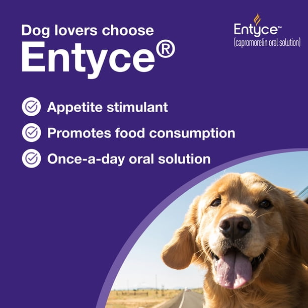 Entyce 食欲刺激剤 30mL Entyce Dog Appetite Stimulant | Oral Solution for Dogs | 30mg/ml
