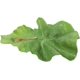 thumbnail image 1 of Clip Vegetable Hairpin Realistic Cabbage Costume Headpiece Spa Face Wash Hairband Novelty Dress Up Hair Accessories Funny Hat, 1 of 5