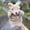 H, variant on Kayannuo Toys Details Animal Stuffed Hand Puppet Parent-Child Doll Hand Puppet