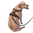 thumbnail image 2 of Vsdgher Western Cowboy Duck Pattern Dog Harness,No Pull Pet Harness with Soft Padded Handle,Adjustable Reflective Vest with 2 Buckles,4 Slide Buckles,S-XL X-Large, 2 of 5