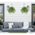thumbnail image 5 of GnFlus Artificial Fern Plants Hanging Greenery Faux Ferns with Basket 25"Boston Fern 31 Leaves Fake Fern Indoor Outdoor Potted Plants bathroom Home Office Decor, 5 of 5