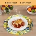 thumbnail image 4 of Watercolor Lemon Botanical Round 13 Inch Placemats Set of 8, Summer Navy Blue Yellow Plaid HeatResistant Non Slip Place Mats for Dining Table, Wipeable Braided Kitchen Table Mats for Housewarming, 4 of 9