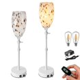 thumbnail image 1 of FSLiving Rechargeable Battery Operated Fireplace Lamps, Remote RV Hand-blown Art Brown Marble Glass Brushed Nickel Socket Adjustable Telescoping Rod Table Light Portable Hallway Bedside Light, 1 of 9