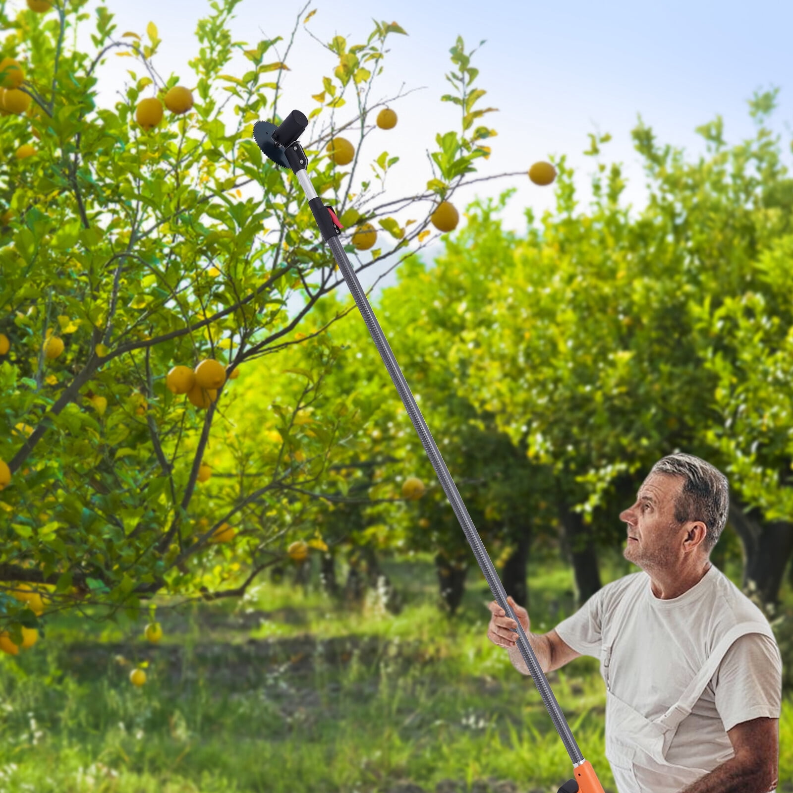 12000rpm Electric Pole Hedge Trimmer Cordless Hedge Trimmer For Tree Weed Garden Used In Farm Orchards, Villa Yards, Municipal Gardens