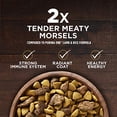 thumbnail image 3 of Purina ONE True Instinct With A Blend Of Real Turkey and Venison Dry Dog Food - 15 lb. Bag (Pack of 3), 3 of 8