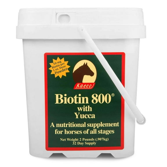 Biotin 800 Powder with Yucca