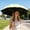 Green, variant on 8 Ribs Manual Open Sun Umbrella Water Activated Flower Black Coated Protection Folding Parasol 6 Colors Portable Rain Sun Umbrella For Women Outdoor Travel