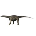 thumbnail image 1 of Saltasaurus dinosaur, white background Poster Print (16 x 12), 1 of 1