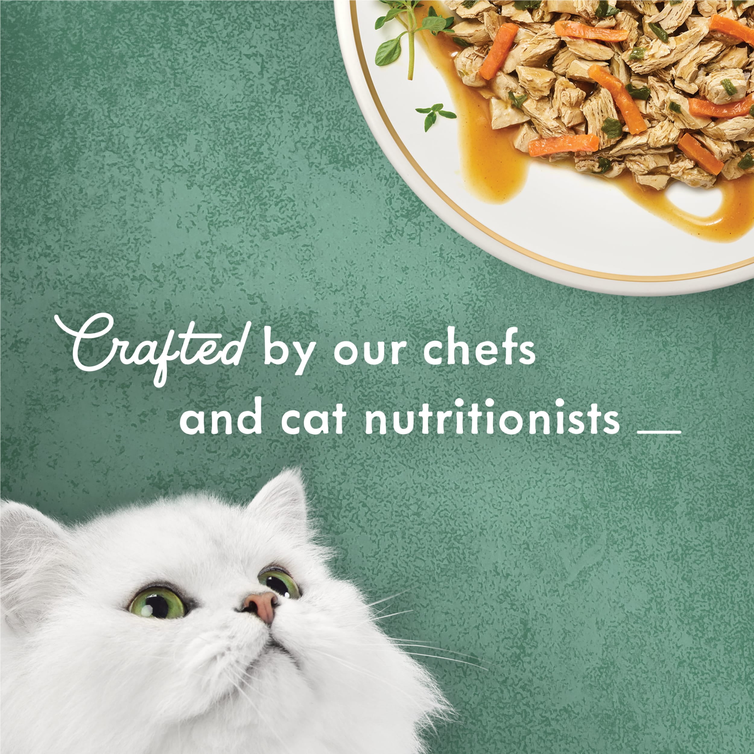 Purina Fancy Feast Medleys Wet Cat Food, Chicken & Spinach, 3 oz Cans (24 Pack)