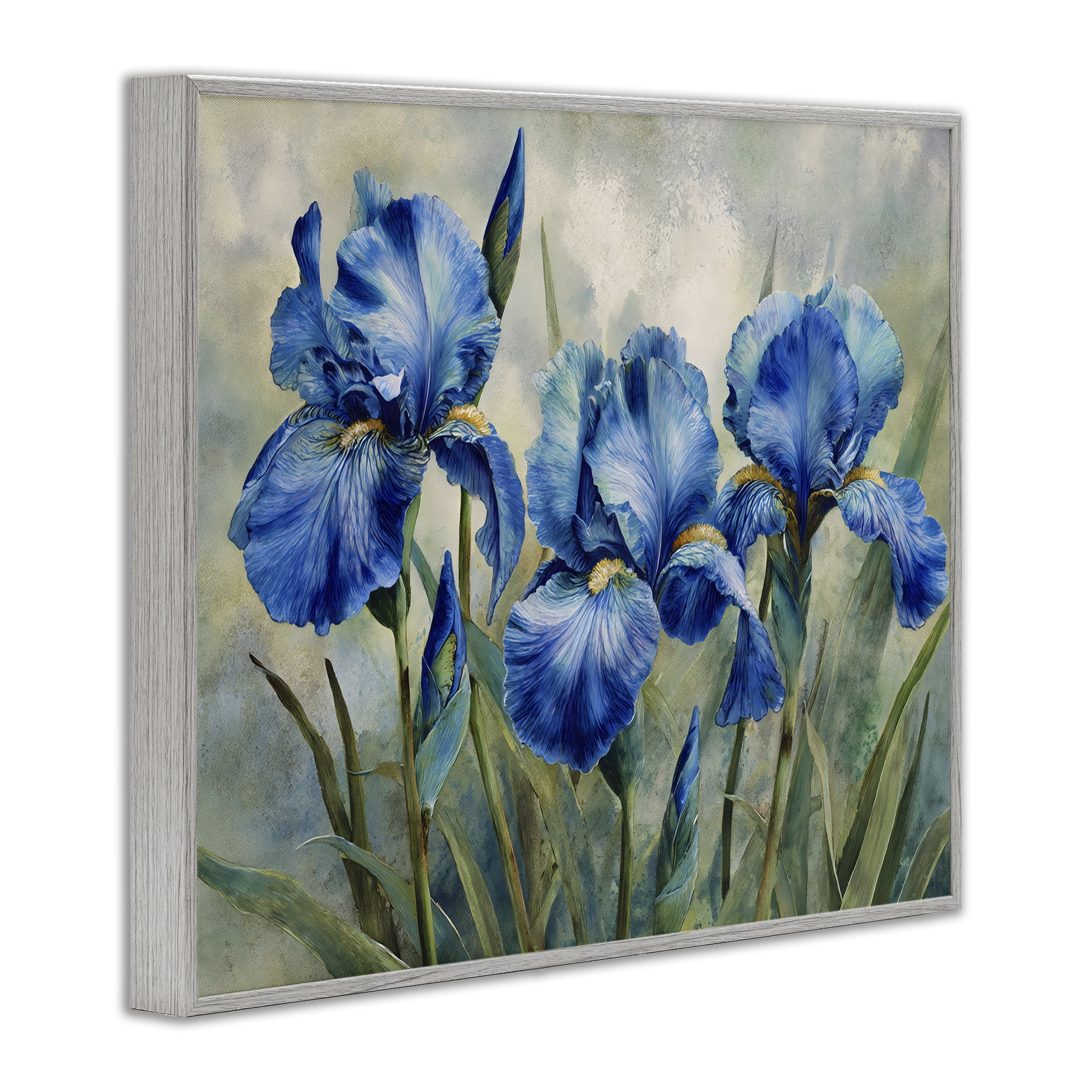 Stupell Industries Drawn Blue Iris Flowers Gray Framed Giclee Art, design by Franklyn Gregory